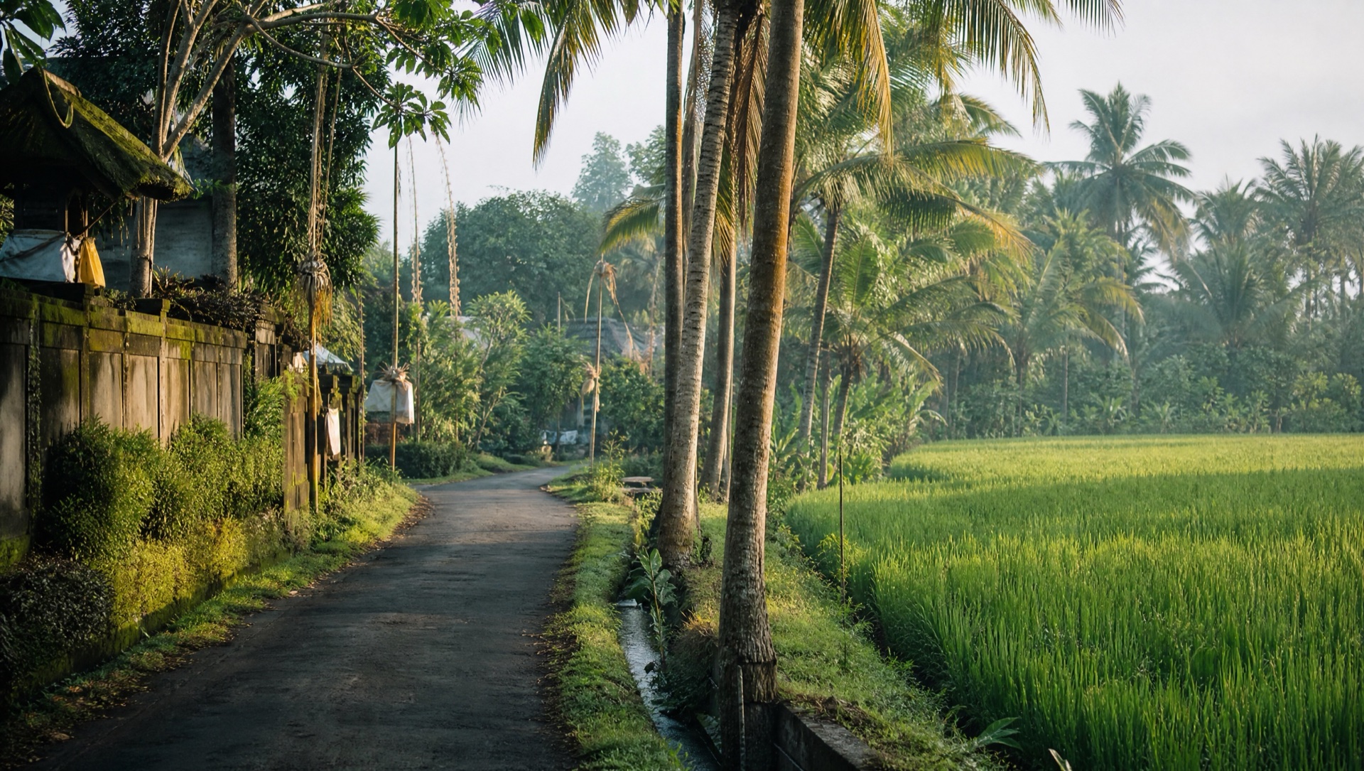 Cinematic Bali field notes, camera kit and rice terraces