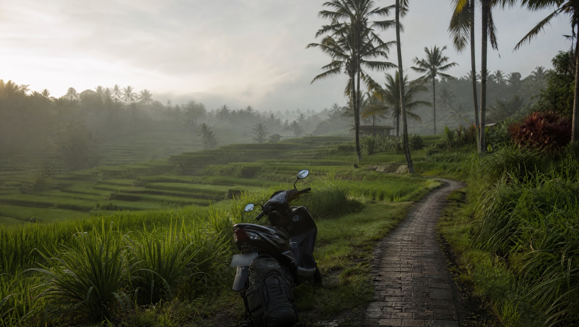 Cinematic Uluwatu coastline with palms and ocean cliffs